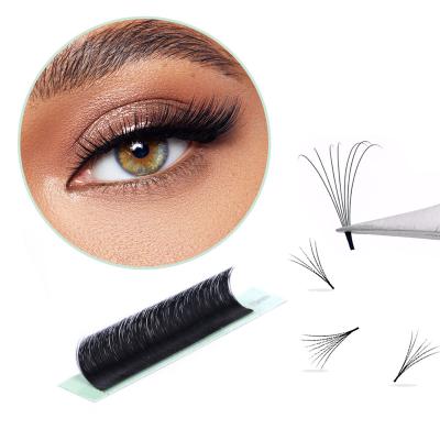 China Premade Daily Fan Full Volume Eyelash Extension Individual Volume Eyelash Extension for sale