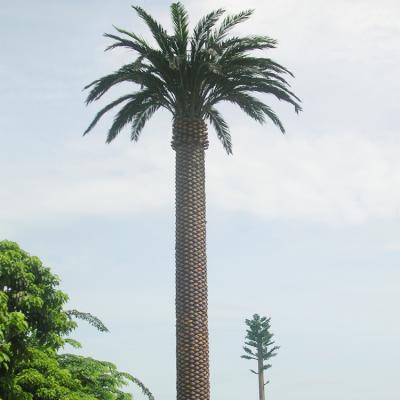 China Hot Plunger Galvanized Steel Microwave Mobile Telecom Date Palm Single Pole Camouflaged Communication Tower for sale