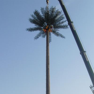 China Hot Plunger Galvanized Steel Artificial High Quality Outdoor Fiberglass Palm Tree for sale