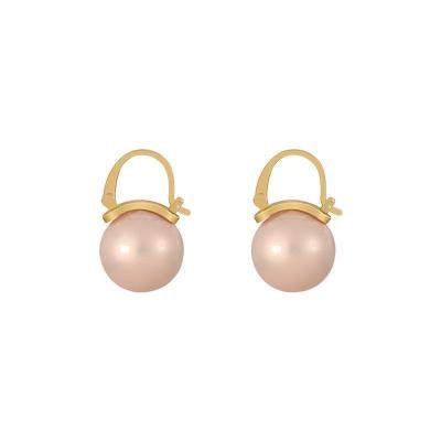 China Fashion Pearl Earrings Temperament Shape Soft Pearl Flower Earrings For Women 2021 Korean Female Jewelry Earrings for sale