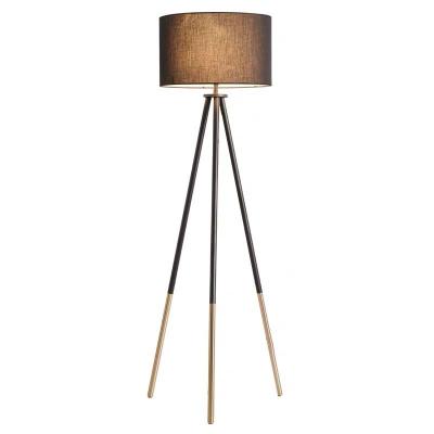 China Modern Contemporary Exquisite Luxury Living Room Study Black Standing Led Floor Lamp for sale