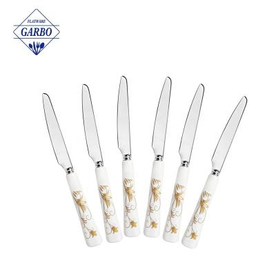 China 6pcs repeat order viable factory price competitive fruit knife set for wedding gift wholesale 420 stainless steel dinner knife set for sale