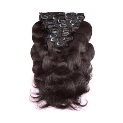 China Silky Straight Wave Body Wave Clips In Hair 100% Hair Extensions With Clips Brazilian Hair About 100grams/set for sale