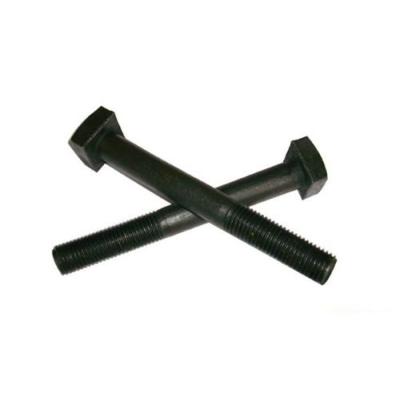 China DIN261 DIN186 high quality carbon steel and stainless steel T-bolt for sale