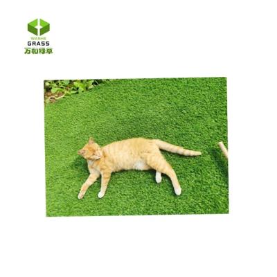 China Landscaping Wanhe 326 30mm Fake Turf Residential Artificial Grass For Pet Garden for sale