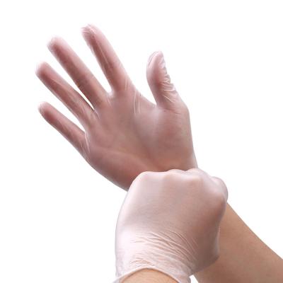 China General Purposes Powder Free PVC Vinyl Gloves Disposable for sale