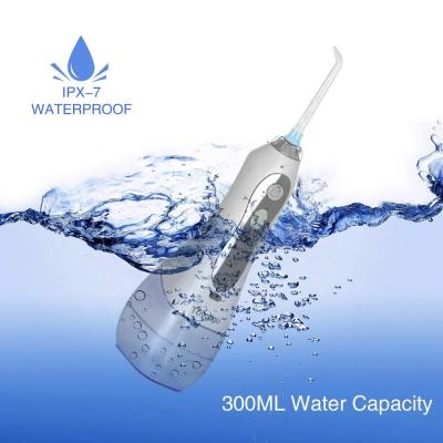 China 2021 New Hotel Waterproof Rechargeable High Frequency Vibration Electric Dental Calculus Remover 2 in 1 Portable Teeth Remover for sale