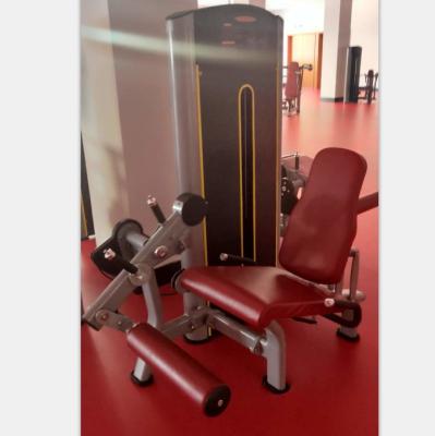 China Commercial fitness center gym equipment posed leg extension for bodybuilding for sale