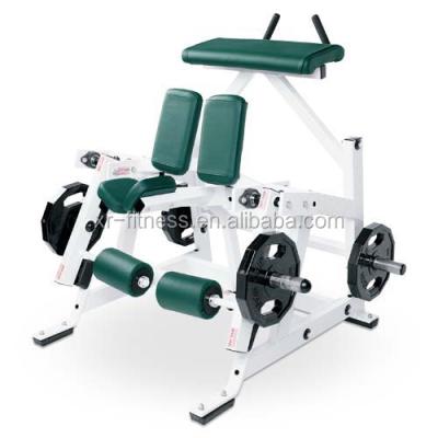 China Commercial Universal Hammer Strength Gym Equipment Kneeling Leg Curl Machine For Bodybuilding for sale