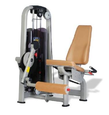 China Commercial Use Gym Equipment Leg Extender XR-9913 For Bodybuilding for sale