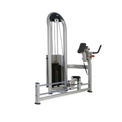 China Commercial Use Gym Equipment Stance Leg Extension XR-6612 For Bodybuilding for sale