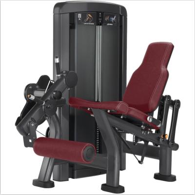 China Fitness center matrix workoutlabs curl machine XH905 leg extension for sale