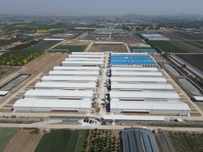 China Edificios estructurales industriales de acero Prefabricado Casa de aves de corral de acero a medida en venta