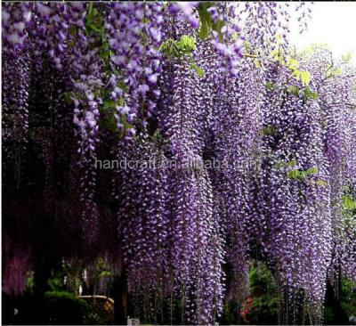 China artificial wisteria flower for wedding decoration supplies different size for sale