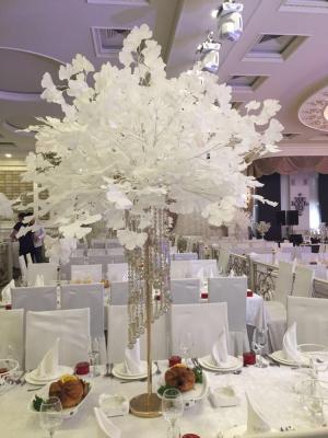 China Ornamental white ficus leaves to wedding for sale