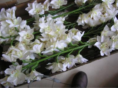 China Fabirc Artificial Silk White Cymbidium Orchid Flower For Wedding for sale