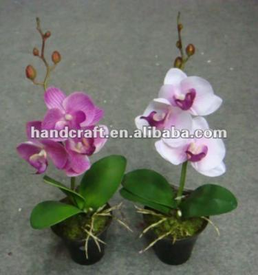 China Color fastness the beautiful little moth orchid pot artificial flower for sale