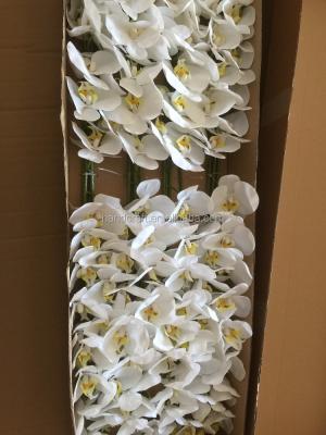 China Fabirc Real Touch Silk White Artificial Orchid For Wedding for sale