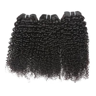 China Natural Brazilian Malaysian Kinky Curly Hair Bundles With Lace Closure Wholesale for sale