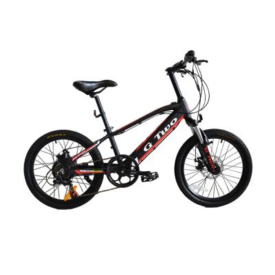 China Aluminum Alloy Most Popular 36V 9A Mountain 16Inch Off Road Electric Bike For Adults for sale