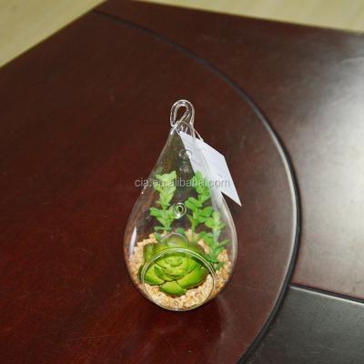 China Home Decoration Mini Greenhouse Glass Collar Plants Hanging Decorative Succulent Tropical Plants for sale