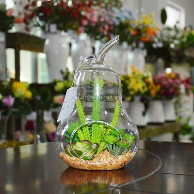 China Mini Home Shape Glass Greenhouse Pear Decoration Artificial Succulent Plant For Hotel Decoration for sale