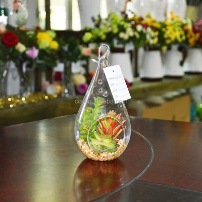 China Plants Home Artificial Succulent Plant Decoration Hanging Mini Glass Greenhouse for sale