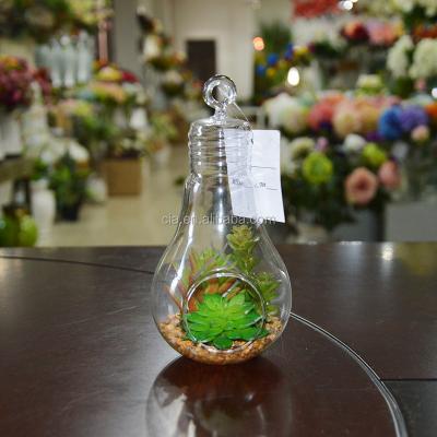 China Home Mini Greenhouse Glass Artificial Succulent Plant Decoration Small Potted Plant for sale