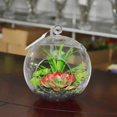 China Home Decoration Hanging Around Plant Mini Greenhouse Artificial Succulent Glass for sale