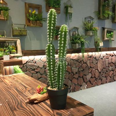 China Indoor Cactus House Fake Cactus Plants for Home Decoration for sale