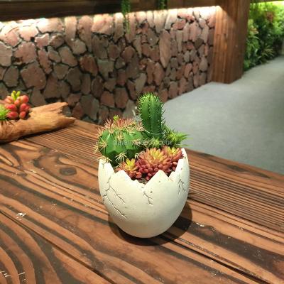 China Indoor Cactus House Plants Artificial Plastic Potted Cactus For Sale for sale