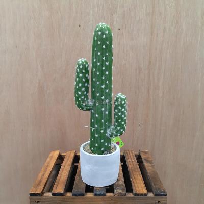 China Indoor Cactus Decorative Faux Saguaro Potted Cactus In Cement Pot for sale