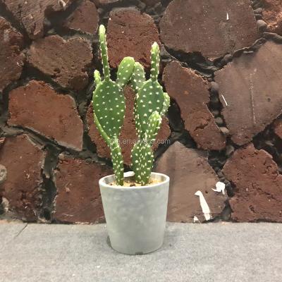 China Artificial Succulents Bonsai for Home and Restaurant Decor Fake Cactus with Pot for Home Decoration Mini Bonsai Plants Artificial for sale