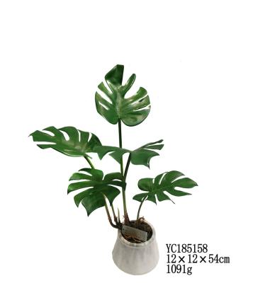 China UpBeauty Infertior Beautiful Plastic Decoration Artificial Bonsai Plants Monstera Deliciosa Seeds Bonsai Trees for sale