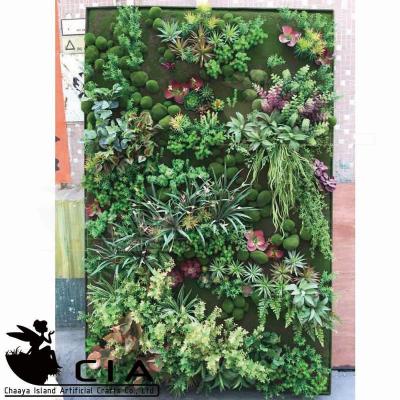 China Super Art Indoor Plant Artificial Wall, Outdoor Green Wall for sale