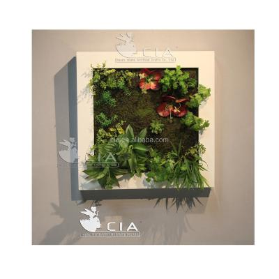 China UV Proof Large Artificial Green Plastic Succulents Wall Vertical Garden Art for sale