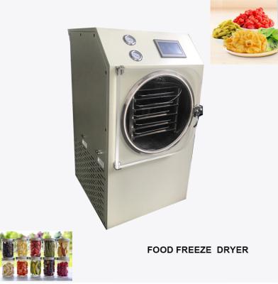 Chine Dégivrage rapide de bel d'aspect écran de Mini Freeze Dryer Machine Touch à vendre