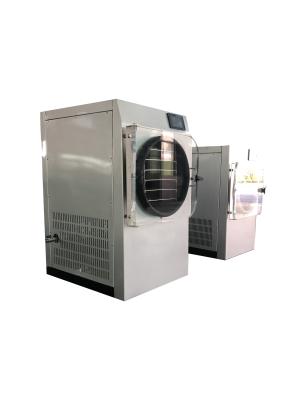 China SUS304 Dish Vacuum Freeze Dryer For Vegetables And Fruits for sale