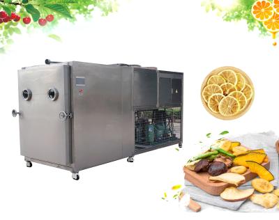 China Root Vegetables Freeze Dryer Machine Bizter Compressor 10m2 100kg SUS304 for sale