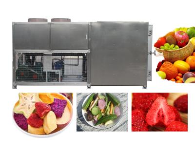 中国 PLC 100kg Vacuum Freeze Drying Machine 10 Square Meters 33Kw 販売のため