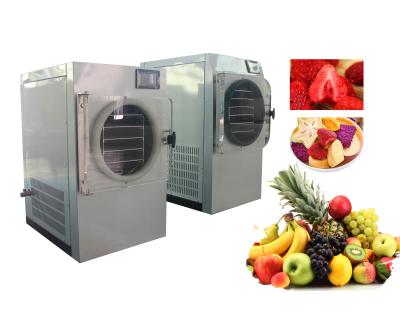 Chine 240V léger Mini Freeze Dryer Machine TFD0.4 pour des légumes fruits à vendre