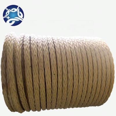 China Color 25mm 12 Strand Spectrum Uhmwpe Braided Mooring Rope For Boat Customer Requirements for sale