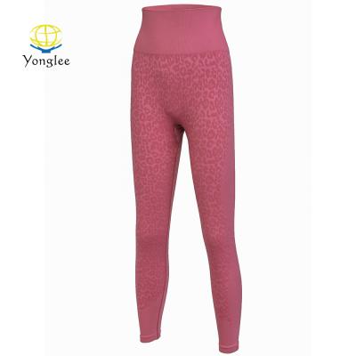 China Breathable Women Seamless Leopard Jacquard Sportswear Tummy Control Legging for sale