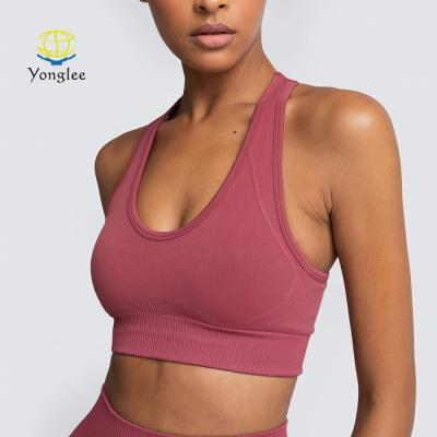 China Breathable Premium Quality Plus Size Active Wear Women Exercise Seamless Sports Yoga Bra for sale