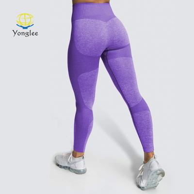 China Competitive Price Breathable Plus Size High Waist Women Seamless Fitness Leggings for sale