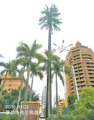 China las torres camufladas biónicas artificiales de la célula de los 25m galvanizaron la torre monopolar de acero en venta