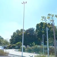 China 16m High Mast Galvanised Street Light Pole Self Supporting 3 Lamps for sale