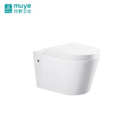 China European Porcelain Bathroom Washdown Tank Watermark Hidden Ware Sanitary Wall Hung Toilet for sale