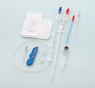 China Medical Disposable Double Lumen 12F 20cm Hemodialysis Catheter Kit for sale