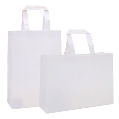 China Small Vertical Biodegradable Nonwoven Fabric Moisture Proof Carry Shopping Bag For Shoes for sale